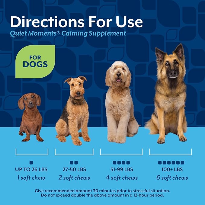 NaturVet Quiet Moments Calming Dog Supplement, Dog Soft Chews with Melatonin to Help Reduce Stress from Storms, the Vet, Fireworks, and Travel, Bacon and Chicken Flavored Pet Supplement, 70 Count Jar