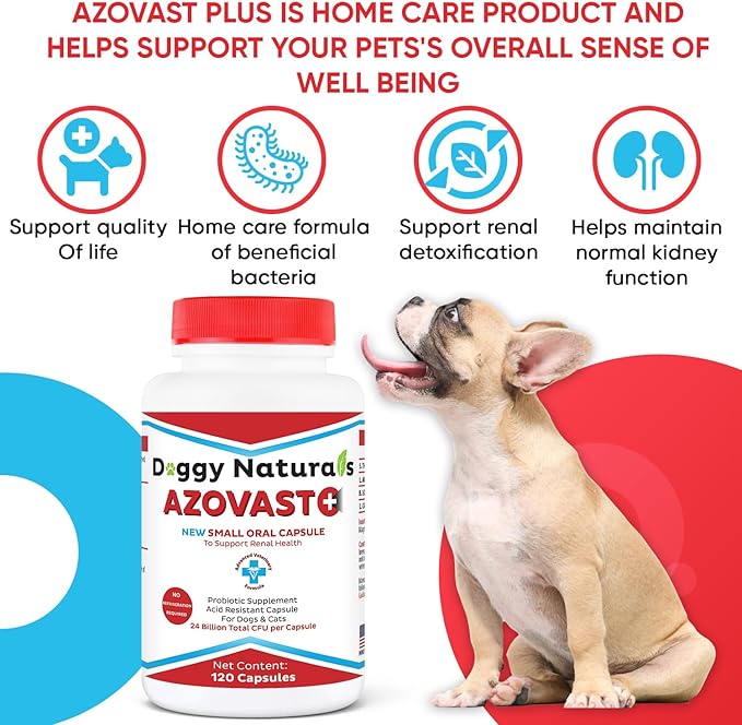 Azovast Plus Kidney Probiotic Supplement for Dogs Cats -24 Billion CFU- NO Refrigeration Required, Help Support Kidney Function, CKD, Manage Renal Toxins, Renal Kidney Support for Pet(U.S.A)(120 Caps)