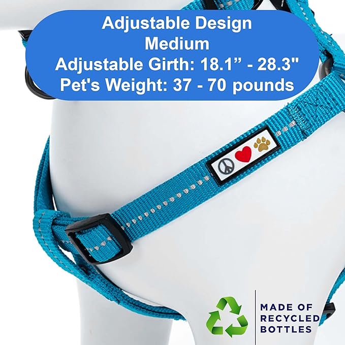 Pawtitas Recycled Reflective Step-in Dog Harness – Adjustable No-Pull Vest for Puppies to Seniors, Safe & Comfortable M Teal