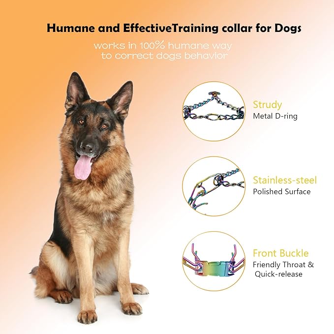 Dog Prong Collar - Stainless Steel Pinch Collar for Large Dogs Training, Adjustable Choker Chain Collar, Durable Dog Training Collar for Medium/Large Breed Obedience (3.8mm, Neck Size 27"-29")