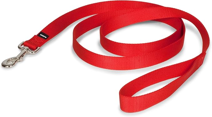 PetSafe Nylon Leash - Strong Nylon Dog Leash for Everyday Walks - Durable Pet Leash with Quick Attach Leash Clip - Comfortable Soft Grip - 6 Feet - Red