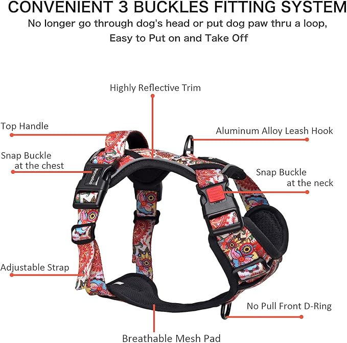Petmolico No Pull Dog Harness Set with Leash Attachment Easy Control Handle Reflective Harness Vest Small Breed, Puppy Vest and Leash Set with Poop Bag Holder, XS - Boho Floral