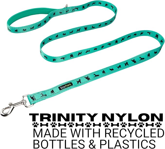 EcoBark Dog Leash - Soft & Reflective Comfort Leashes with Padded Handle - Strong Durable Heavy Duty - Training and Pulling for Small, Medium or Large Dogs (Turquoise)