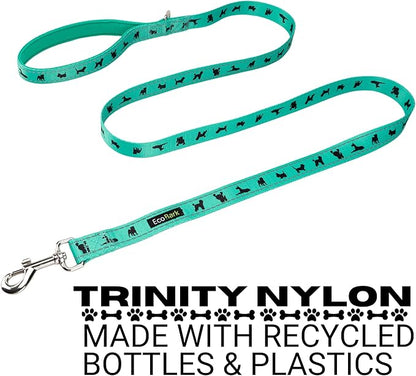 EcoBark Dog Leash - Soft & Reflective Comfort Training Leashes with Padded Handle - Safe, Strong, & Durable for Small, Medium or Large Dogs (Turquoise)