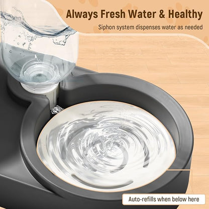 Marchul Stainless Steel Dog Cat Bowls, 15° Tilted Elevated Cat Food and Water Bowl Set with 500ml Gravity Bottle for Small Medium Pets, Leak-Proof