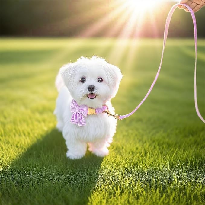Dog Collar and Leash Set with Bowtie, Girl Dog Collars Metal Buckle Adjustable for Small Medium Dogs (Purple, S: Neck 10"-16" Leash 5 FT)