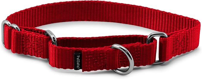 PetSafe Adjustable Martingale Collar - Only Tightens When Dogs Pull, Prevents Slipping Out - Helps with Strong Pullers, Increased Control - Alternative to Choke Collar - 3/4", Small, Red