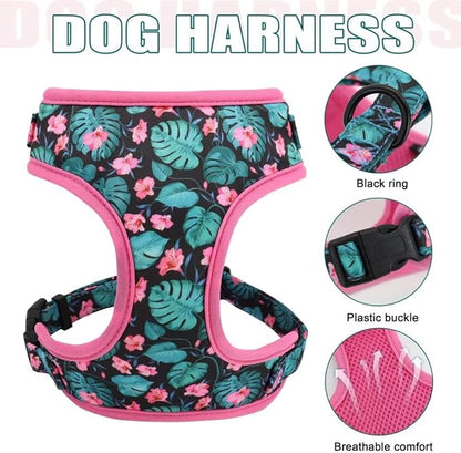 Beirui Cute Girl Dog Collars, Harnesses & Leashes Set - Adjustable Dog Collar and Leash Set with Flower - Soft Mesh Dog Vest Harness for Puppies Small Medium Dogs (Green,XS)