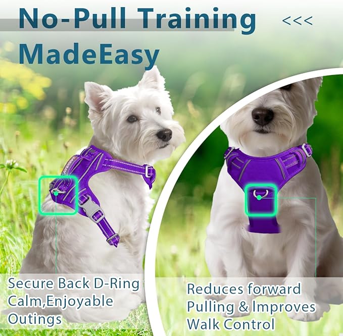 BARKBAY Dog Harness No Pull Oxford with ID Tag Pocket - Heavy Duty, Reflective, Easy Control for Large Dogs(Purple Oxford,XS)