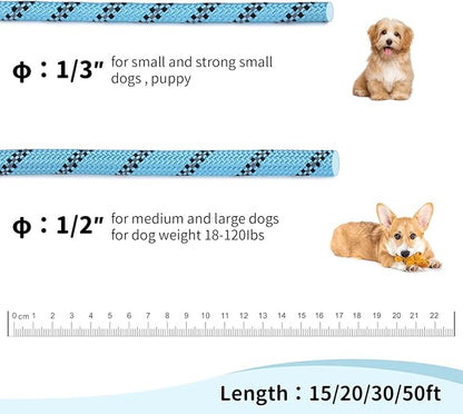 Long Dog Leash for Training 30Ft-Reflective Nylon Rope with Swivel Hook-Recall Agility Lead for Large Small Medium Dogs Outside Walking Hiking-Sky Blue