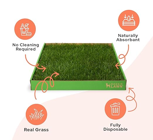 DoggieLawn Real Grass Puppy Pee Pads- 24 x 16 Inches - Perfect Indoor Litter Box for Dogs - No Mess, Easy-to-Use - Potty Training for Pets - Eco-Friendly Disposable Bathroom with Real Living Grass