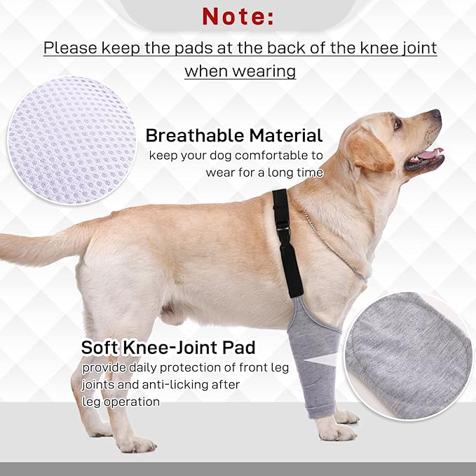 Dog Recovery Suit for Front Legs, Dog Recovery Sleeves After Surgery with Elastic Band, Soft Protective Elbow Braces for Medium Large Dogs, Cone Collar Alternative to Stop Licking Leg Wounds,Grey,3XL