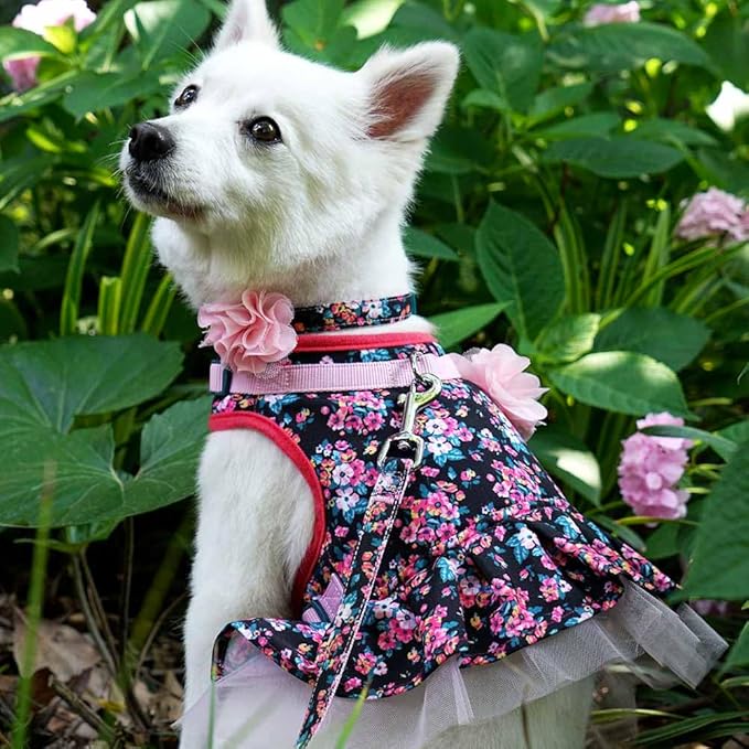 Blueberry Pet Made Well Elegant Floral Print Adjustable Dog Collar in Sleek Black with Pink Artificial Silk Flower, Small, Neck 12"-16"