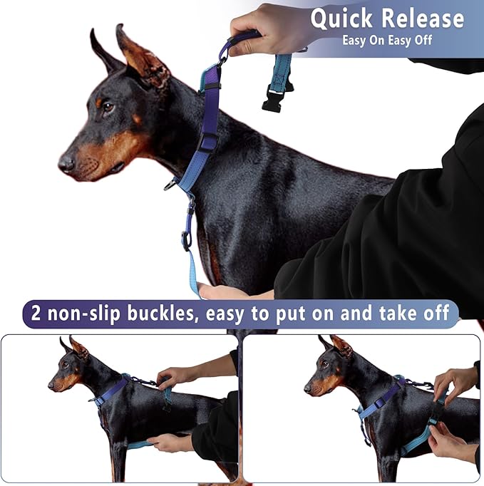 Roses&Poetry Dog Harness Large Breed, Adjustable No Pull Vest Harness and Leash Set, Reflective Puppy Harnesses with Comfort Padded Handle for Pet Training Outdoor Walking（Gsky-XL