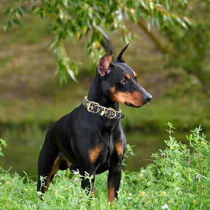Leather Dog Collar and Leash Set, Check Pattern Dog Collar Leashes Metal Buckle Adjustable Durable for Small Medium Large Dogs (Black, S(11.4-13.4IN))