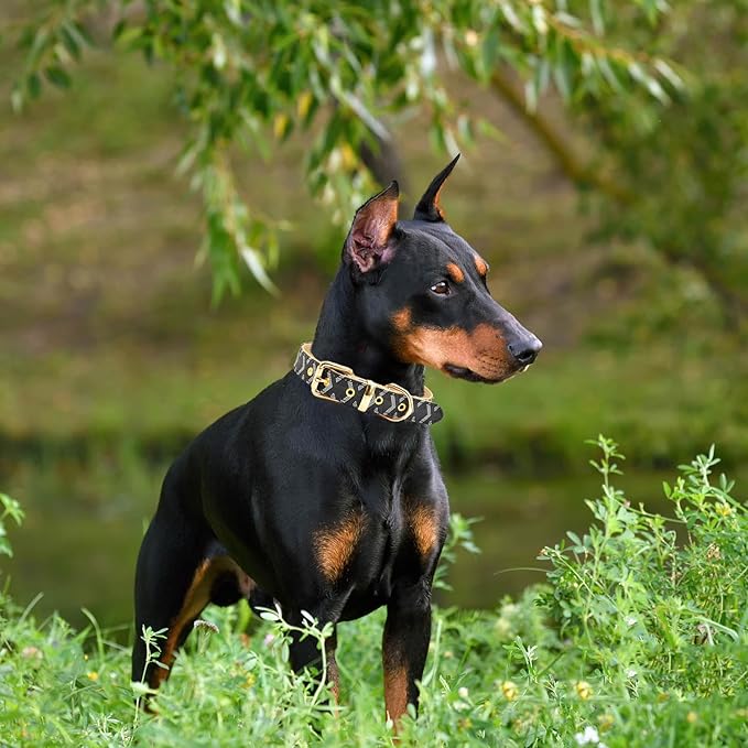 Leather Dog Collar and Leash Set, Check Pattern Dog Collar Leashes Metal Buckle Adjustable Durable for Small Medium Large Dogs (Black, M(11.8-15IN))