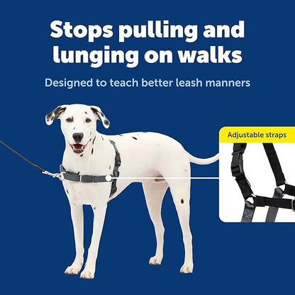 PetSafe Easy Walk Harness for Dogs - Pull-Free Walks - Patented Martingale Loop Design - Front Chest Leash Attachment - Comfort Straps - Breathable Harness Design - Medium/Large, Charcoal/Black