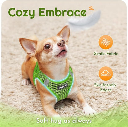 Eagloo Small Dog Harness and Leash Set, Step in Puppy Vest with Breathable Soft Mesh, Walking Reflective Pet Harness for Small Dogs, Green, S