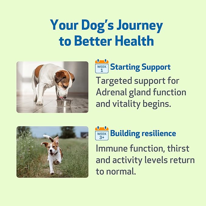 Pet Wellbeing Adrenal Harmony Gold for Dogs - Supports Adrenal Function & Normal Cortisol Levels with Ashwagandha & Bacopa - NASC Certified & Vet-Formulated - 4 oz Liquid Formula