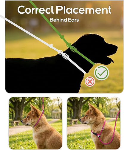TagME 6ft Slip Dog Lead, No Pull Reflective Training Leash with Padded Handle, Professional Rope P-Leash for Small Medium Large Dogs, Heavy Duty Correction Lead for Walking & Training (Hot Pink)