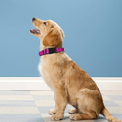 Reflective Dog Collar, Adjustable Soft Neoprene Padded Nylon Pet Collars with Buckle for Puppy and Small Dogs, Cats,Rose Red,XS