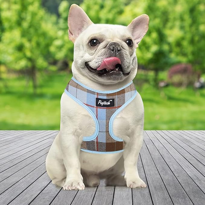 PUPTECK Soft Mesh Dog Harness and Leash Set Pet Puppy Cat Comfort Padded Vest No Pull Harnesses, Blue&Brown, M