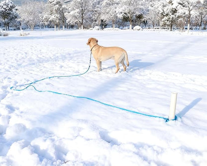 8FT Dog Tie Out Leash, Long Tether 10-13-15-20-25-30-35-40-50-65 FT Nylon Rope Check Cord for Medium Large Dogs Yard Outdoor Playing Camping Backyard (Black, 3/8")