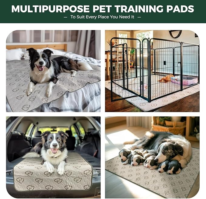 FXW Washable Pee Pads for Dogs, Puppy Pads with Super Absorbent, Specifically Designed for FXW Rollick/Homeplus 24inch 6 Panels Dog Playpen, 39" x 63" Rectangle, Khaki, 2 Packs