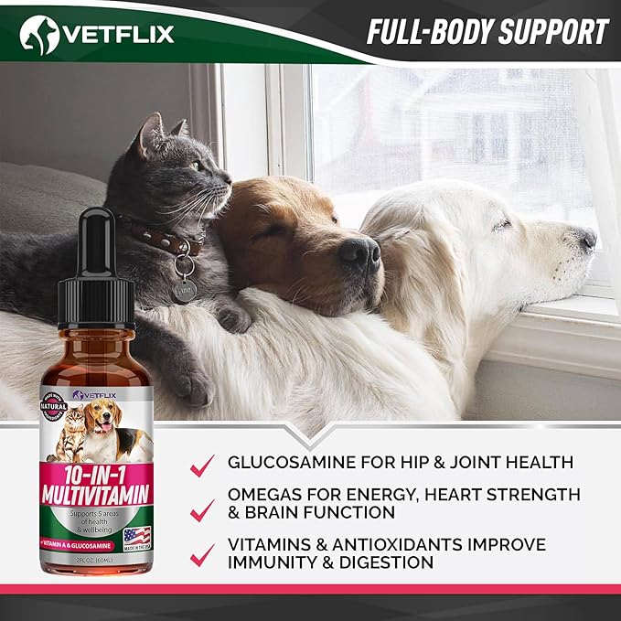 10 in 1 Pet Vitamins for Dogs, Cats, Puppies and Kittens - Made in USA - Glucosamine and Multivitamin Supplement - Joint, Immune and Skin Health Support - 2 Fl Oz