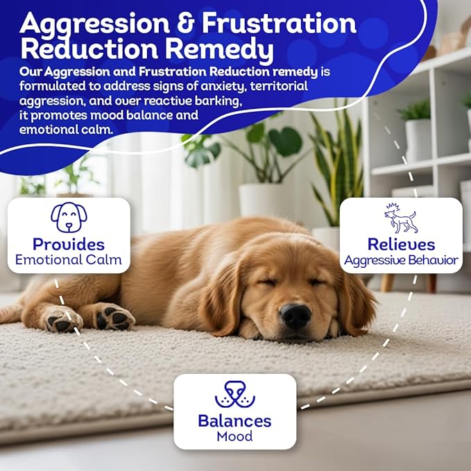 HA4E - Calming Tablets for Stressed and Aggressive Dogs - Reduce Dog Aggression & Promote Relaxation - All-Natural, Homeopathic Remedy - 300 Tablets