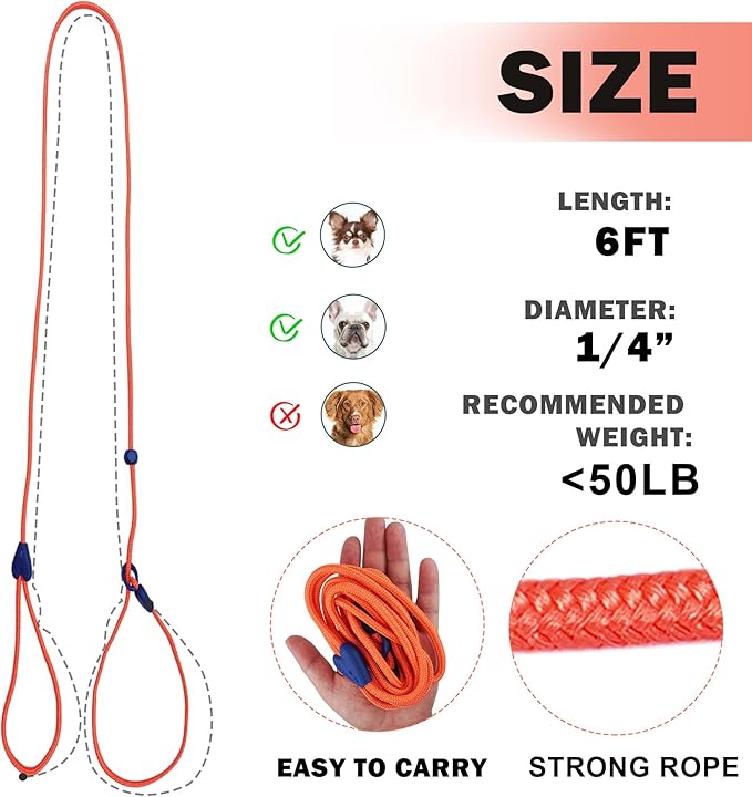 Slip Leads for Dogs Puppy Leash Comfortable 6 FT Heavy Duty Loop Leash No Pull Pet Training Leash 6 Colors Classic Dog Leash for Small Medium Dogs Orange
