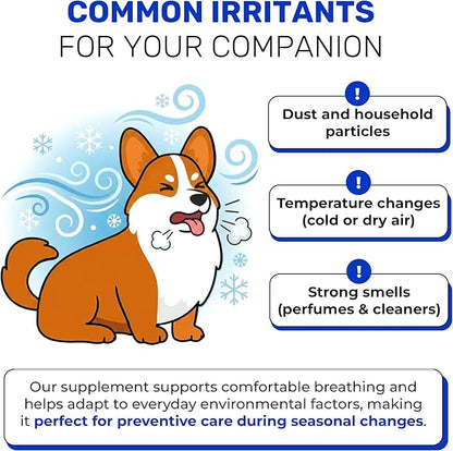 Kennel Cough Medicine for Dogs & Cats to Help with Sneezing, Allergies, Runny Nose – Squeezable and Lickable Dog Cough Medicine to Aid with Easy Breathing – Travel-Friendly 10-Sticks Pack 5 g Each