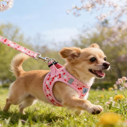 KOOLTAIL Dog Harness for Small Medium Dogs,Dog Harness and Leash Set, Step in No Pull Soft Mesh Padded Adjustable and Reflective Pet Vest Harness Puppy, Plaid Extra Harness for XS S Dogs,Pink Cherry,M
