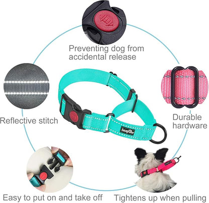 haapaw Martingale Dog Collar with Quick Release Buckle Reflective Dog Training Collars for Small Medium Large Dogs