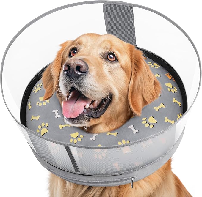 Inflatable Dog Cone with Anti-Licking Clear Shield, Protective Dog Donut Collar After Surgery, Adjustable Soft Recovery Cone for Pets, Alternative Collar with Buckle Strap (Grey, M+)