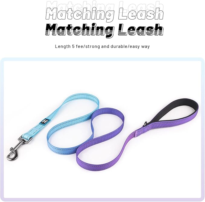 Roses&Poetry Reflective Dog Collar and Leash for Small Dogs, Puppy Collars with Leashes Set Gradient Violet, Adjustable Durable Pets for Extra Puppies（Violet-XS