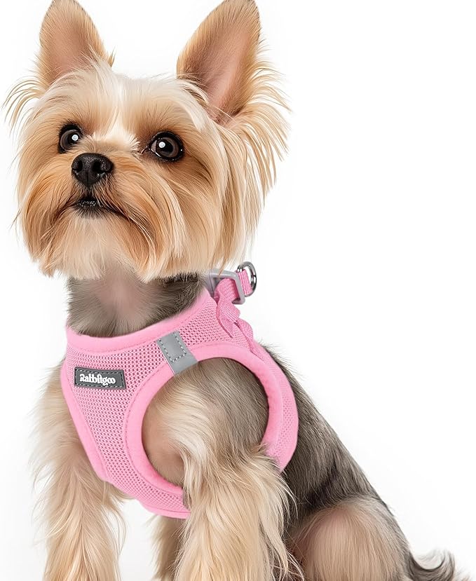 rabbitgoo Small Dog Harness, Step-in Soft Mesh Puppy Vest with Safety Buckle, Breathable Reflective Pet Harness for Small Sized Dogs, Light Pink XS