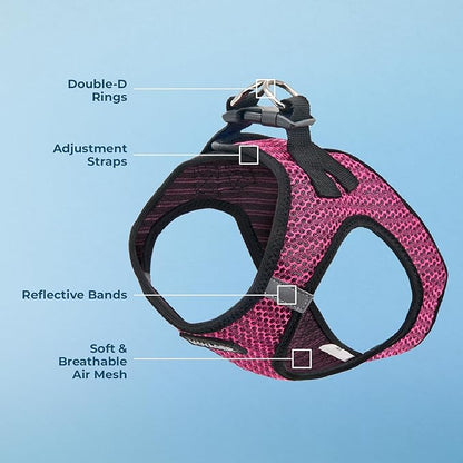 Best Pet Supplies Voyager Step-in Air Harness - All Weather Mesh, Reflective, No Pull Harness for Dogs, Cats - Secure with Hook & Loop Fastener, Buckle, Double D-Rings - Fuchsia 2-Tone, M