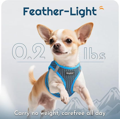 Eagloo Small Dog Harness and Leash Set, Step in Puppy Vest with Breathable Soft Mesh, Walking Reflective Pet Harness for Medium Small Dogs, Blue, M