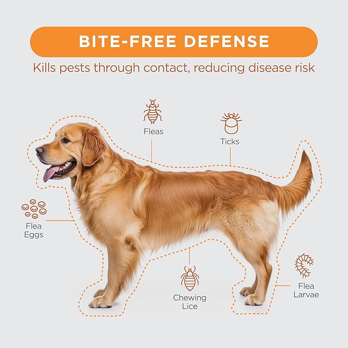 FirstAct Plus Flea Treatment for Dogs, Small Dogs 5-22 lbs, 6 Doses, Same Active Ingredients as Frontline Plus Flea and Tick Prevention for Dogs