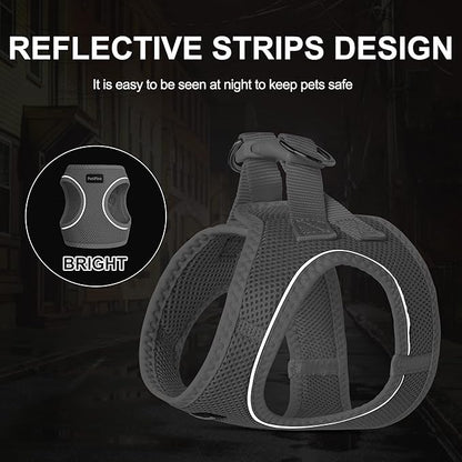 PetiFine Extra Small Step in Dog Harness and Leash Set, Cat Harness and Leash Escape Proof, All Weather Mesh Reflective, Step-in Air Vest Harnesses for Puppy(XXXS, Grey)