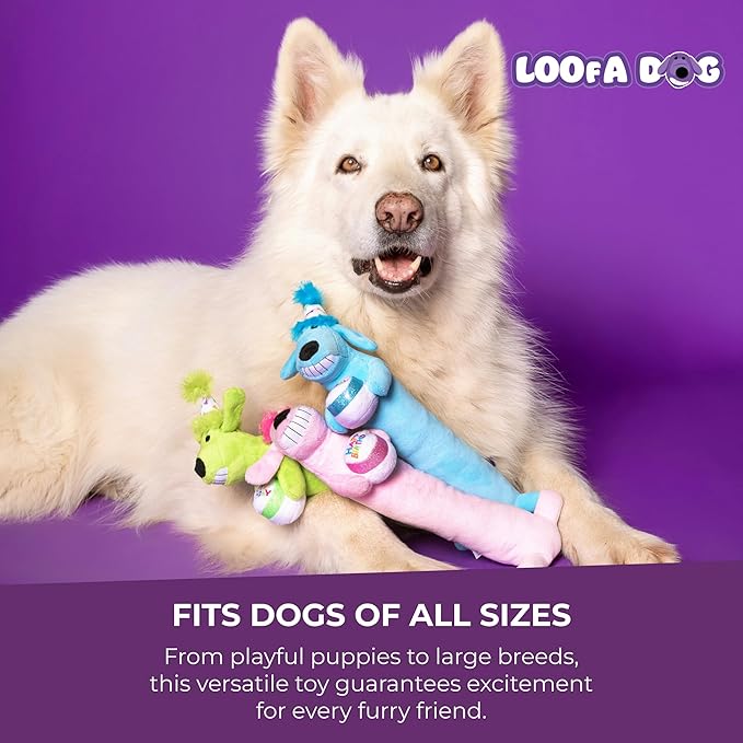 Multipet Loofa Dog Plush Toy w/ Birthday Hat - Squeaky Dog Toy for Dogs - Soft Plush - Stuffed Animal Dog Toys for Playing (1 Count, 12”, Random Color Surprise)