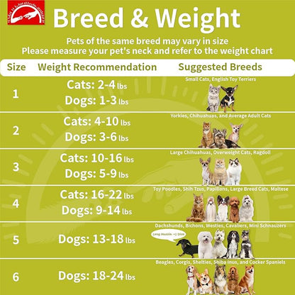 Agape Soft Dog Cone for Small Dogs & Cats, Comfy Dogs Recovery Collar After Surgery, Adjustable E Collar Alternative to Stop Licking, Protective Elizabethan Collars for Pup, Comfortable Dog Cones