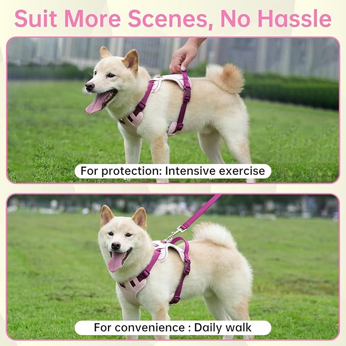 3 in 1 No Pull Dog Harness Leash and Collar Set, Soft Adjustable Dogs Vest Reflective and Comfortable Handle Pink Medium