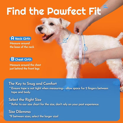 Eagloo Small Dog Harness and Leash Set, Step in Puppy Vest with Breathable Soft Mesh, Walking Reflective Pet Harness for Small Dogs, Orange, L