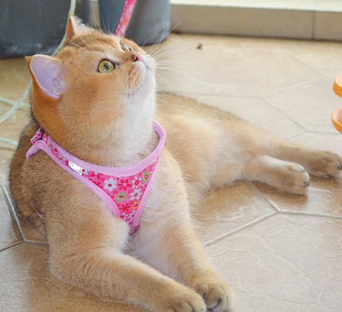 Moonpet Step in Dog Harness Leash Set- All Weather Reflective No-Pull Floral Pattern Padded Mesh Vest Harness for Cats Puppy Extra-Small Small Medium Large Dogs - Pink Flower - XXS