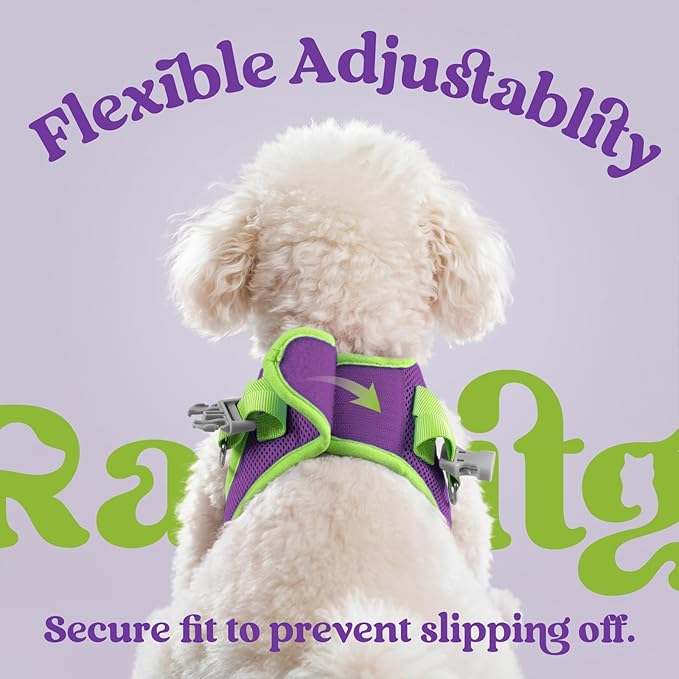 rabbitgoo Dog Harness Small Sized and Leash Set, Step-in Breathable Pet Harness, Soft Walking Reflective Puppy Vest for Small Dogs, Purple & Green, M