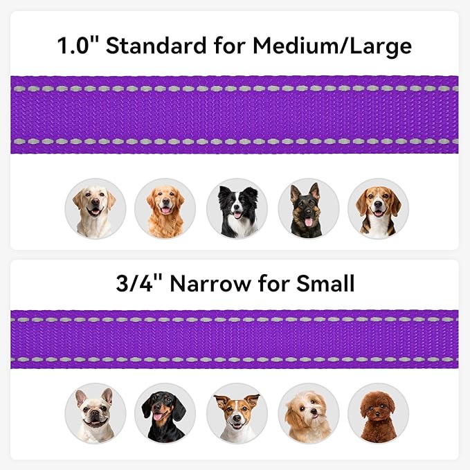 Joytale Dog Leash, 4 FT Double-Sided Reflective, Padded Handle Nylon Heavy Duty Leashes for Small Dogs Walking, Purple