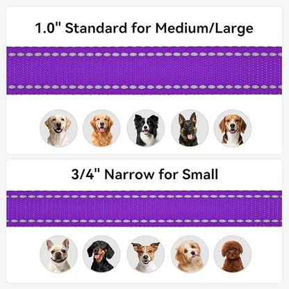 Joytale Dog Leash, 5 FT Double-Sided Reflective, Padded Handle Nylon Heavy Duty Leashes for Medium & Large Dogs Walking, Purple