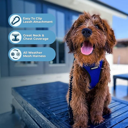 Best Pet Supplies Voyager Step-in Air Harness - All Weather Mesh, Reflective, No Pull Harness for Dogs, Cats - Secure with Hook & Loop Fastener, Buckle, Double D-Rings - Royal Blue/Black Trim, XS
